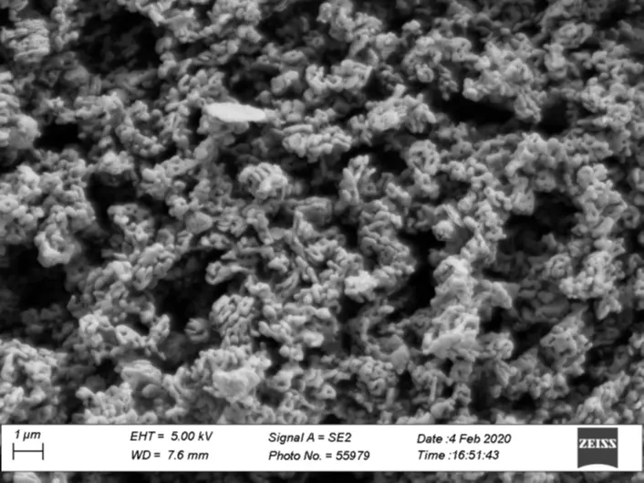 Secondary-electron image of AAP-99 alumina powder, 5.00 kV, SE2, WD 7.6 mm, scale bar 1 µm